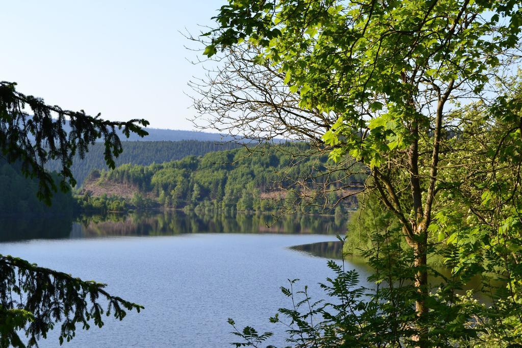Apartmán Edelweiss Schulenberg im Oberharz Exteriér fotografie