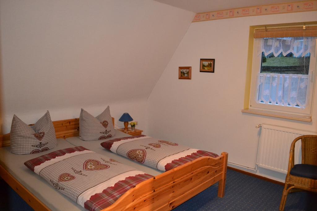 Apartmán Edelweiss Schulenberg im Oberharz Pokoj fotografie