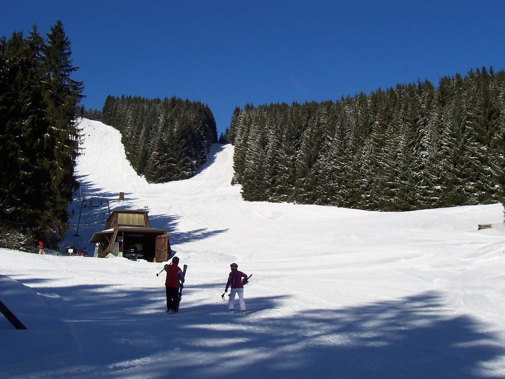Apartmán Edelweiss Schulenberg im Oberharz Exteriér fotografie
